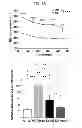 Fig. 03 - Screening of drug for attention deficit hyperactive disorder by using GIT1 knock-out mice as a novel ADHD mouse model