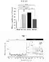 Fig. 04 - Screening of drug for attention deficit hyperactive disorder by using GIT1 knock-out mice as a novel ADHD mouse model