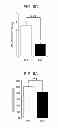 Fig. 06 - Screening of drug for attention deficit hyperactive disorder by using GIT1 knock-out mice as a novel ADHD mouse model