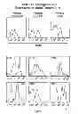 Fig. 01 - Identification and Enrichment of Cell Subpopulations
