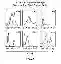 Fig. 04 - Identification and Enrichment of Cell Subpopulations