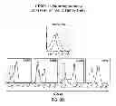 Fig. 05 - Identification and Enrichment of Cell Subpopulations