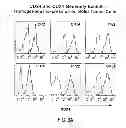 Fig. 06 - Identification and Enrichment of Cell Subpopulations