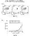 Fig. 12 - Identification and Enrichment of Cell Subpopulations