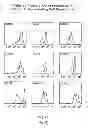 Fig. 41 - Identification and Enrichment of Cell Subpopulations