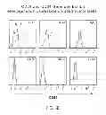 Fig. 07 - Identification and Enrichment of Cell Subpopulations