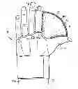 Fig. 01 - Spectator Glove