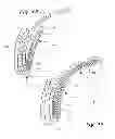 Fig. 08 - Form-fitting protective headwear