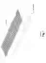 Fig. 02 - RAIN GUTTER GUARD AND METHOD FOR INSTALLATION