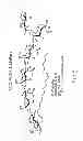 Fig. 02 - Seed treatment methods and compositions