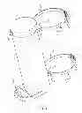 Fig. 02 - Apparatus for gravity fed animal feeder