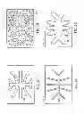Fig. 05 - Liquid adhesive lamination for precision adhesive control