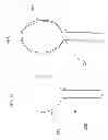 Fig. 06 - PET WASTE COLLECTION APPARATUS FOR SUPPORTING A HANDLED PLASTIC BAG THEREON, AND METHOD OF USING SAME