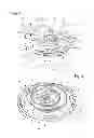 Fig. 02 - Balance spring with two hairsprings