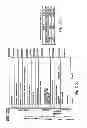 Fig. 13 - Information recording medium, and recording method and reproducing method thereof