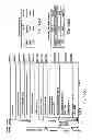 Fig. 16 - Information recording medium, and recording method and reproducing method thereof