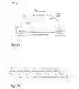 Fig. 04 - System and method for direct multi-user transmission