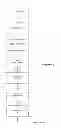 Fig. 03 - Accelerated verification of digital signatures and public keys