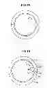 Fig. 08 - Connecting rod bearing of internal combustion engine
