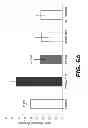 Fig. 09 - Antithrombotic nanoparticle