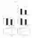 Fig. 08 - Tissue-Engineered Endothelial and Epithelial Implants Differentially and Synergistically Regulate Tissue Repair