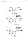 Fig. 02 - BIO-REPLENISHMENT (BioRep) FOR IMPROVING SLEEP ARCHITECTURE