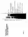 Fig. 10 - Parasite vaccine