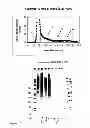 Fig. 11 - Parasite vaccine