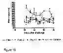 Fig. 12 - Parasite vaccine