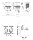 Fig. 03 - REPROGRAMMING IMMUNE ENVIRONMENT IN BREAST CANCER VIA DENDRITIC CELLS