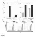 Fig. 07 - COMBINATORIAL VITAMIN D AND PROBIOTIC THERAPY FOR INFLAMMATORY BOWEL DISEASE