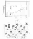 Fig. 04 - SYSTEMS AND METHODS FOR SHELL ENCAPSULATION