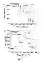 Fig. 09 - Multicomponent and biocompatible nanocomposite materials, methods of synthesizing same and applications of same