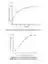 Fig. 04 - Cellulosic gel material as a pharmaceutical excipient