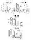 Fig. 03 - Preparation and compositions of highly bioavailable zerovalent sulfur and uses thereof