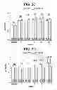 Fig. 08 - Preparation and compositions of highly bioavailable zerovalent sulfur and uses thereof