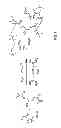 Fig. 02 - Cation exchange materials prepared in aqueous media