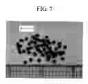 Fig. 08 - Method for producing composite pellet for extrusion molding, and composite pellet for extrusion molding produced by the method