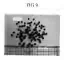 Fig. 10 - Method for producing composite pellet for extrusion molding, and composite pellet for extrusion molding produced by the method
