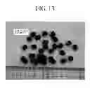 Fig. 14 - Method for producing composite pellet for extrusion molding, and composite pellet for extrusion molding produced by the method