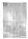 Fig. 07 - Method for producing induced pluripotent stem cells