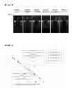Fig. 02 - Method for synthesizing cDNA