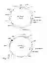 Fig. 02 - Compositions and Methods Relating to Proteins Requiring Gamma-Carboxylation