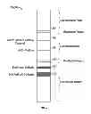 Fig. 06 - Systems, methods, and test kits for analyte variation detection