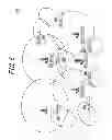 Fig. 07 - Method for adjusting parameter of radio communication system and radio communication system