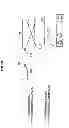 Fig. 14 - Communication device, communication control method and communication system