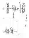Fig. 05 - Application performance improvement in radio networks