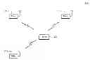 Fig. 01 - Cell selection and reselection for closed subscriber group cells