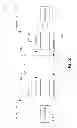Fig. 03 - Cell selection and reselection for closed subscriber group cells