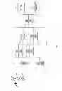 Fig. 03 - Local point of presence